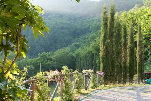 Ferchia Villa Lucca Dış mekan fotoğraf